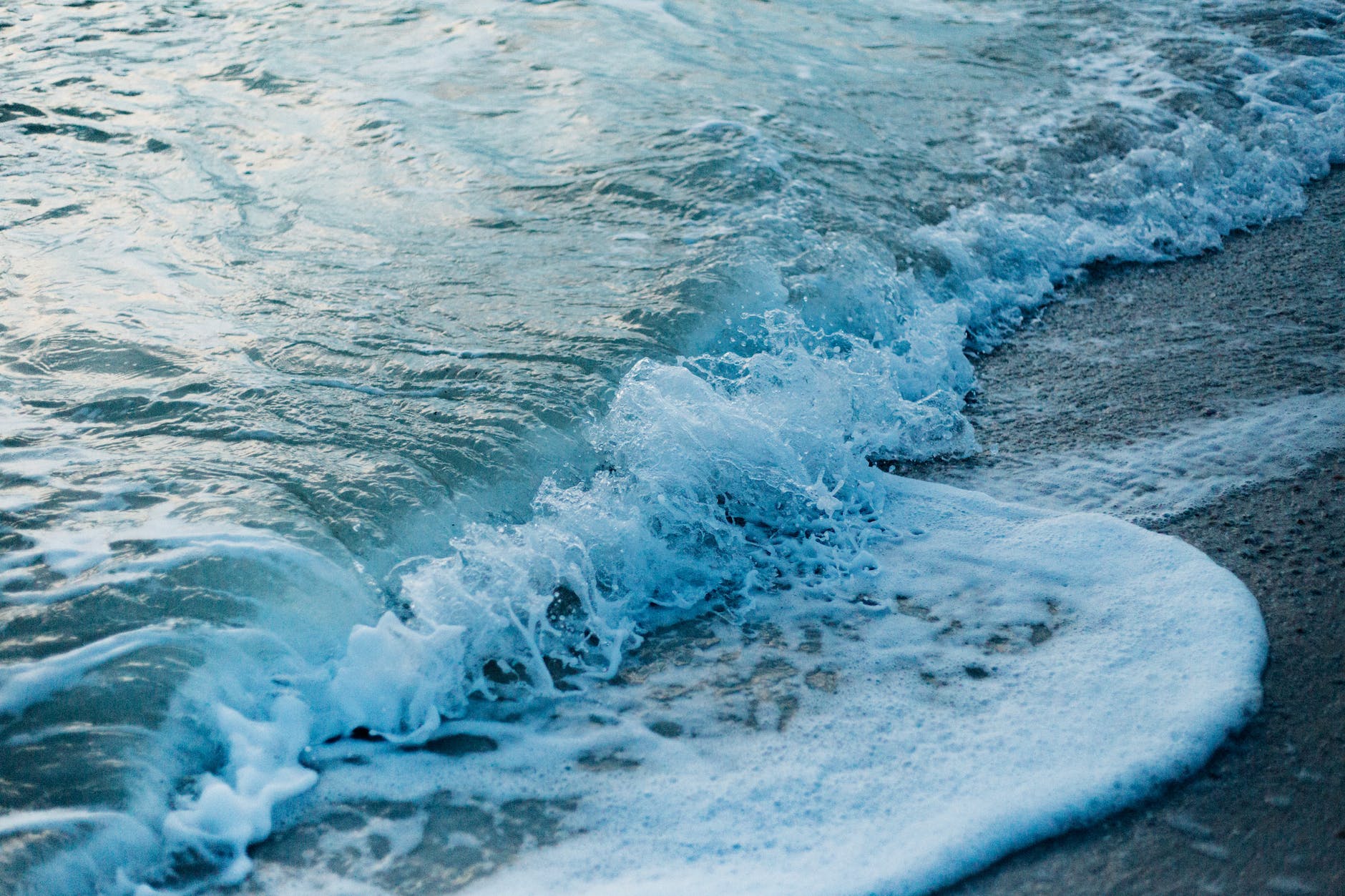 closeup photography of seafoam