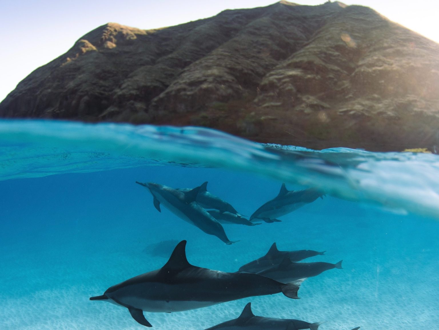 Process Safety Planetary Technologies