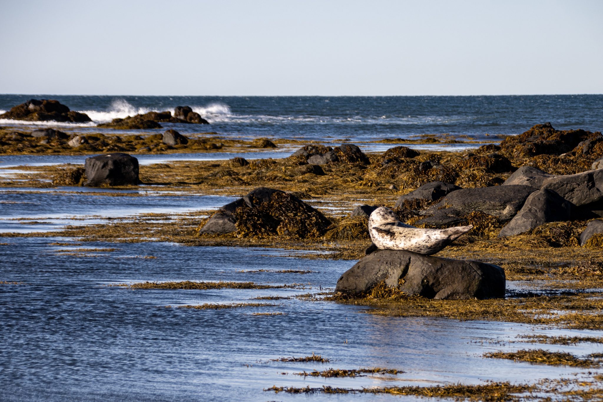 Contact Us Planetary Technologies